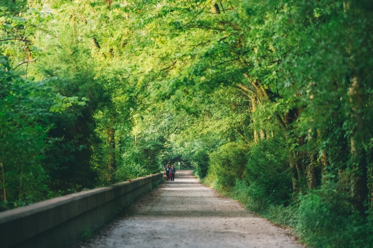 radnor-lake-state-park